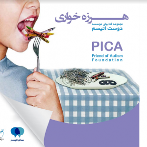 PICA booklet