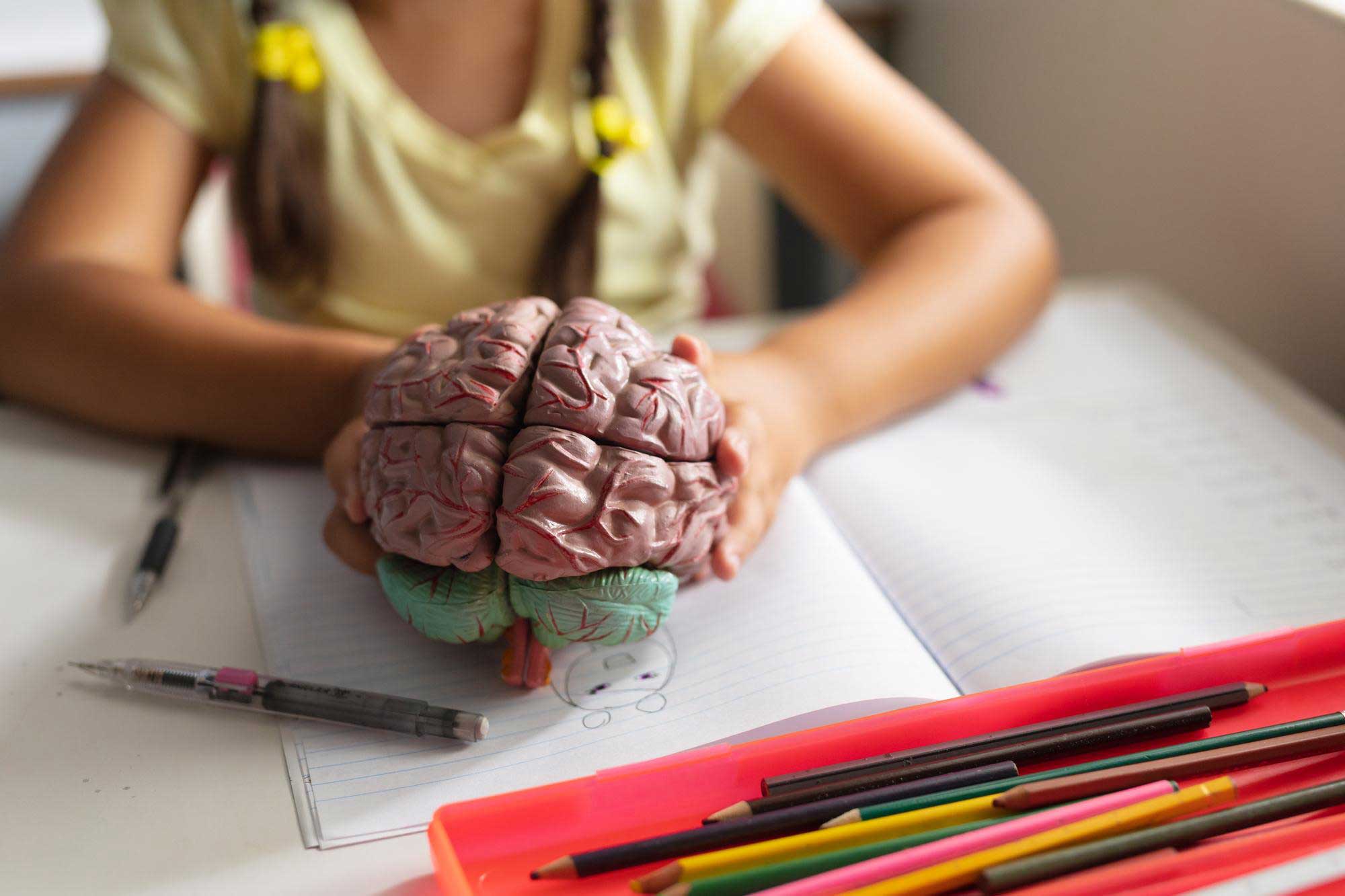 تفاوت ساختار مغز کودکان اوتیسم| دوست اوتیسم