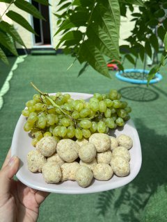 کلاسهای تابستانه برای کودکان اتیسم| دوست اتیسم
