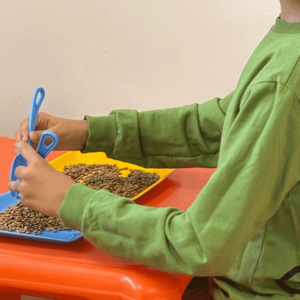 آموزش مهارت‌های خودیاری در شعبه مشهد دوست اتیسم